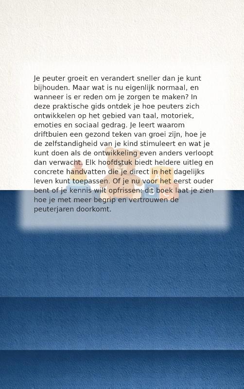 Achterkant van Peuters begrijpen
