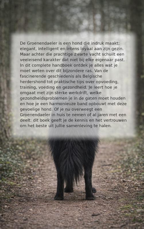 Achterkant van Alles over de Groenendaeler