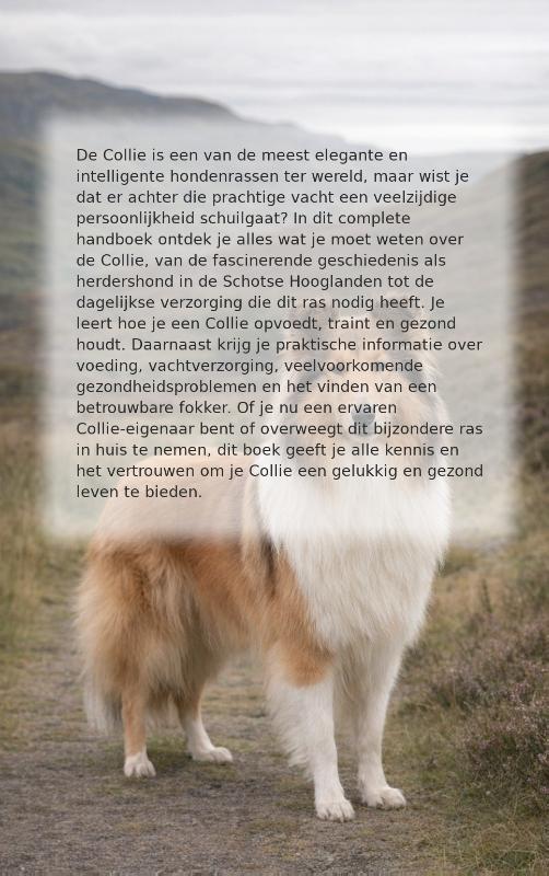 Achterkant van Alles over de Collie