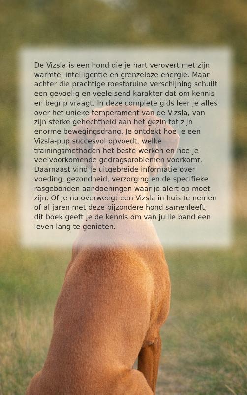 Achterkant van Alles over de Vizsla