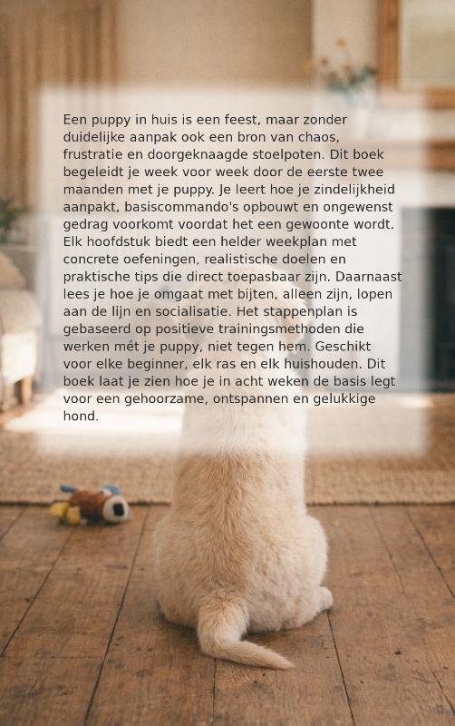 Achterkant van Puppytraining in 8 weken