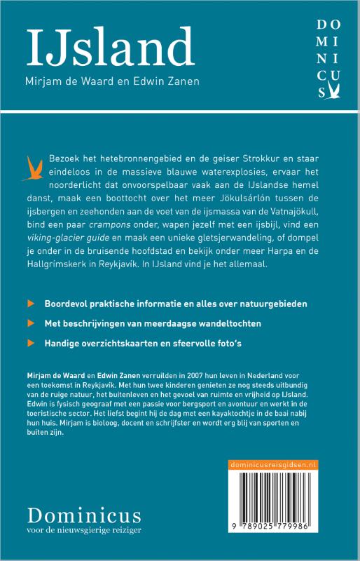 Achterkant van IJsland