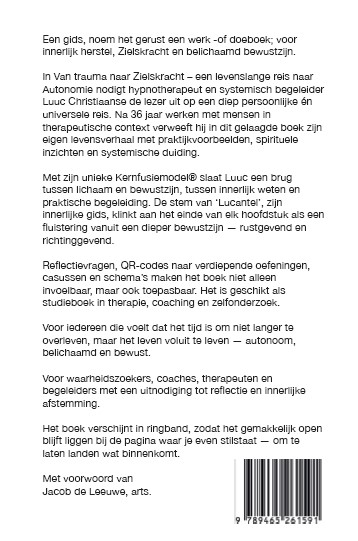 Achterkant van Van trauma naar Zielskracht