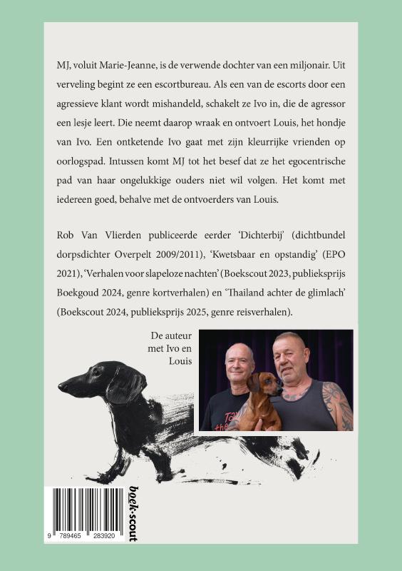 Achterkant van De tragische, hilarische en spannende lotgevallen van MJ, voluit Marie-Jeanne