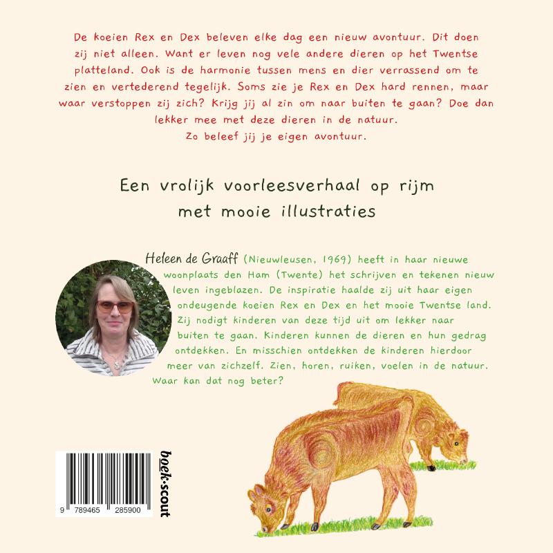 Achterkant van De koeien Rex en Dex op het Twentse platteland