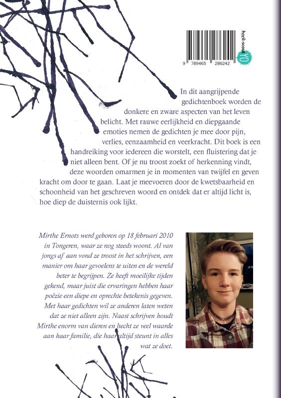 Achterkant van Verloren dromen, heldere toekomst