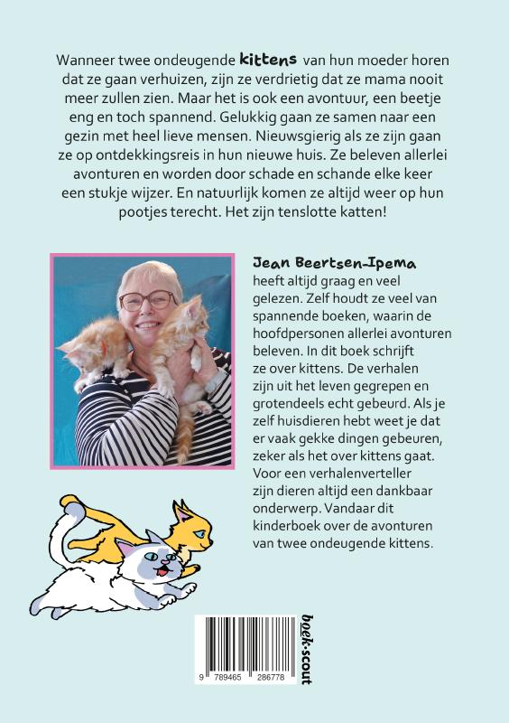 Achterkant van Kittens
