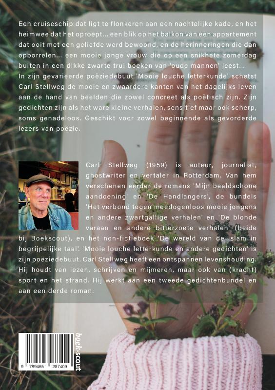 Achterkant van Mooie louche letterkunde