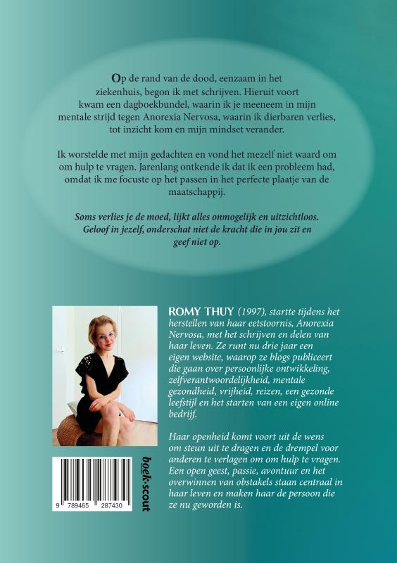 Achterkant van Diep zinken