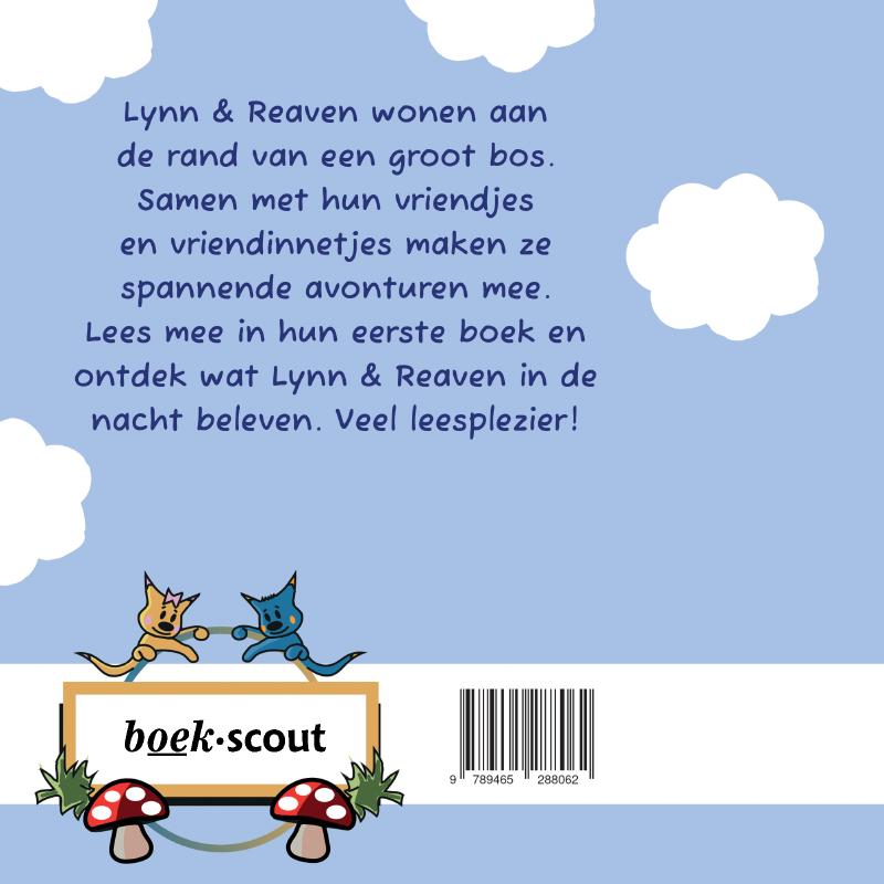 Achterkant van De avonturen van Lynn & Reaven