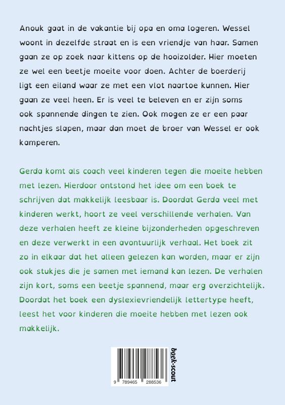 Achterkant van Avonturen op Schateiland