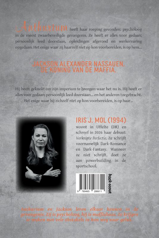 Achterkant van Verknipte perfectie