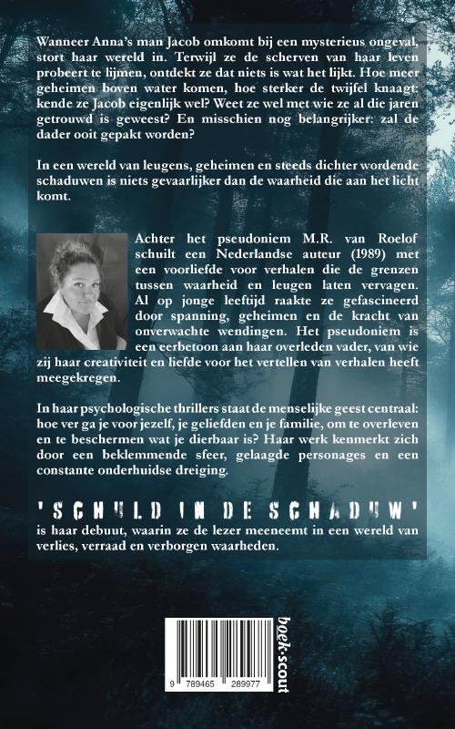 Achterkant van Schuld in de schaduw