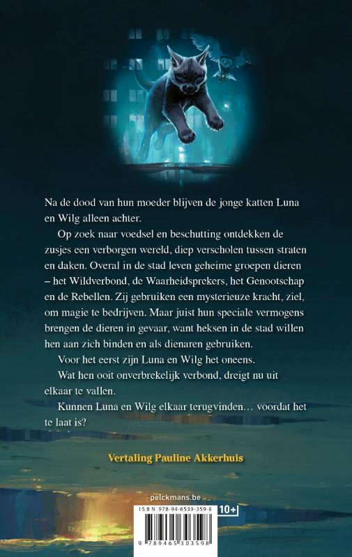 Achterkant van De magie ontwaakt