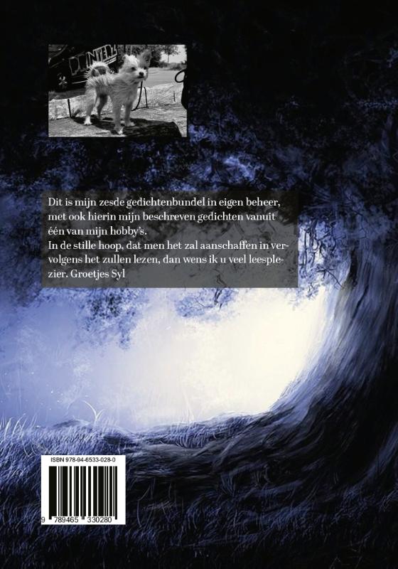 Achterkant van The core of the truth