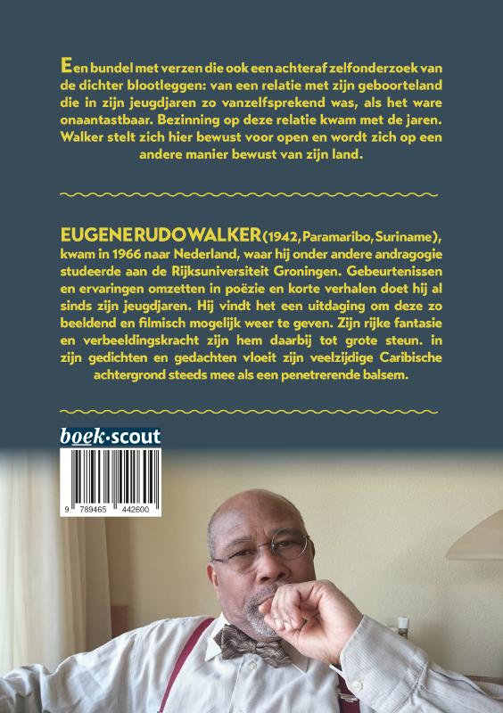 Achterkant van In het schijnsel van de dagbloem