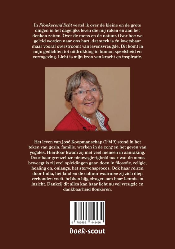 Achterkant van Flonkerend licht