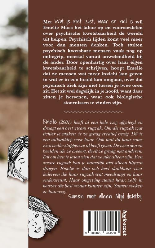 Achterkant van Wat je niet ziet, maar er wel is