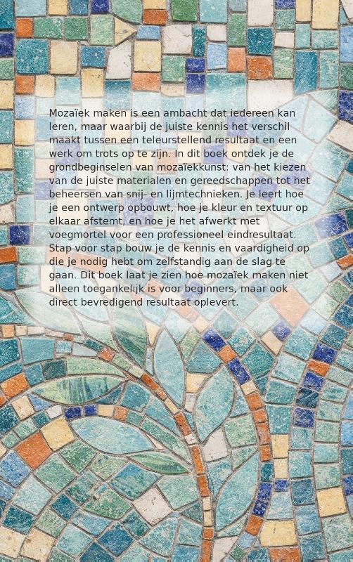 Achterkant van Starten met Mosaïek