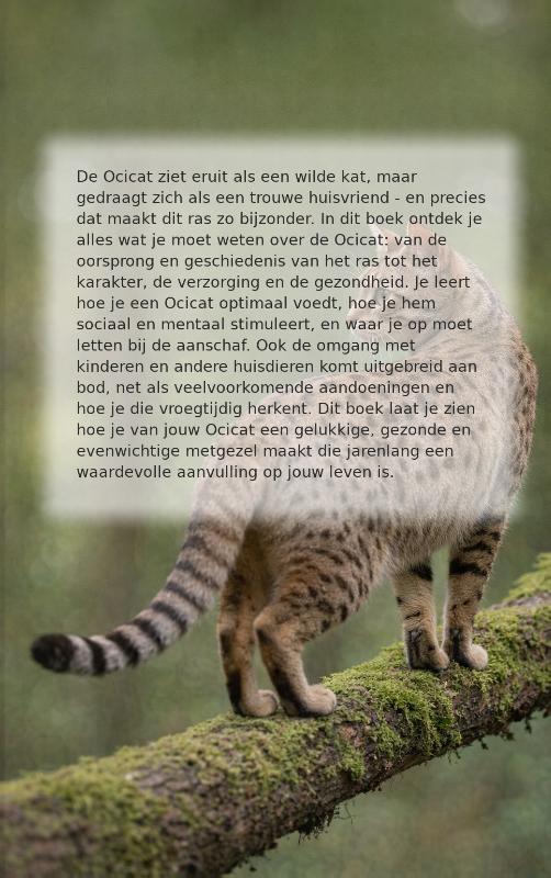 Achterkant van Alles over de Ocicat