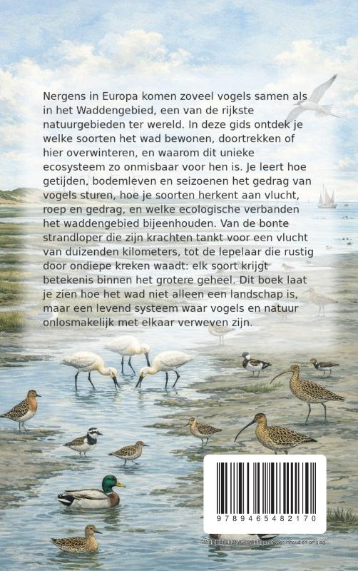 Achterkant van De Vogels van de Wadden