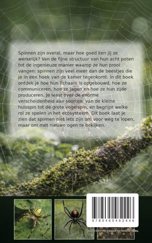 Achterkant van Alles over Spinnen