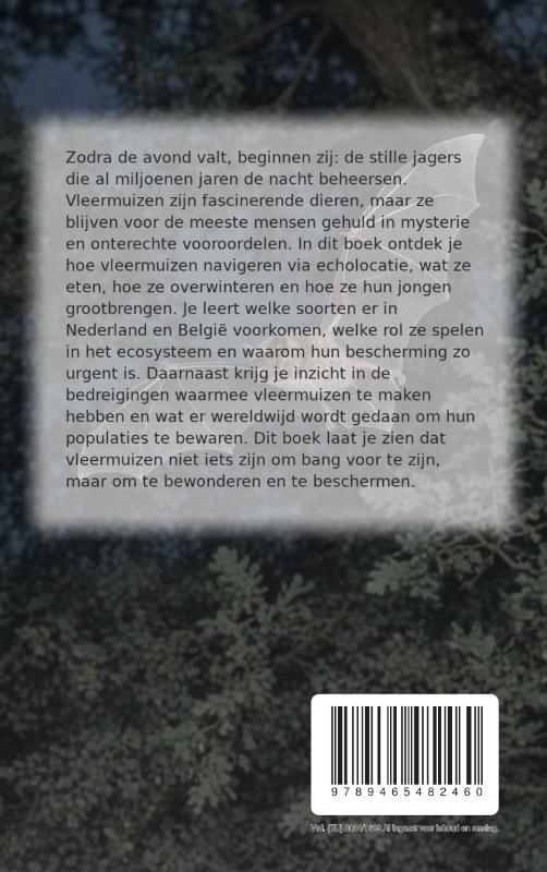 Achterkant van Alles over Vleermuizen