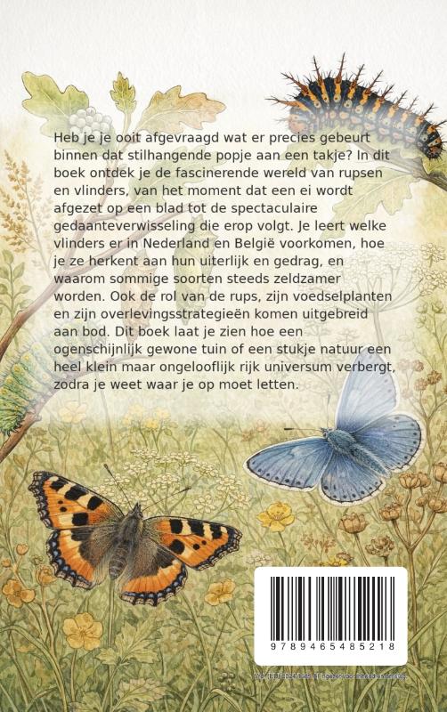 Achterkant van Alles over Rupsen en Vlinders