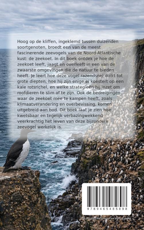 Achterkant van Alles over de Zeekoet