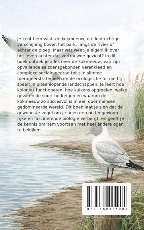 Achterkant van Alles over Kokmeeuwen