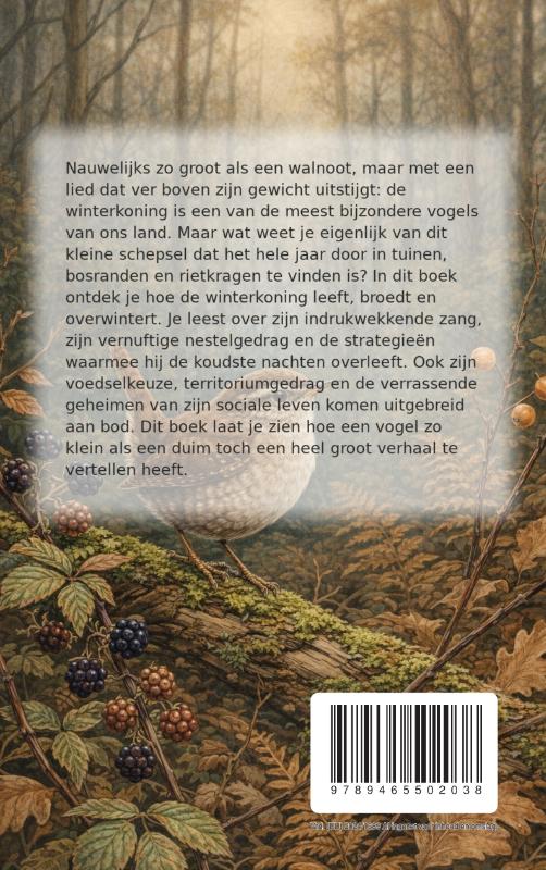 Achterkant van Alles over de Winterkoning