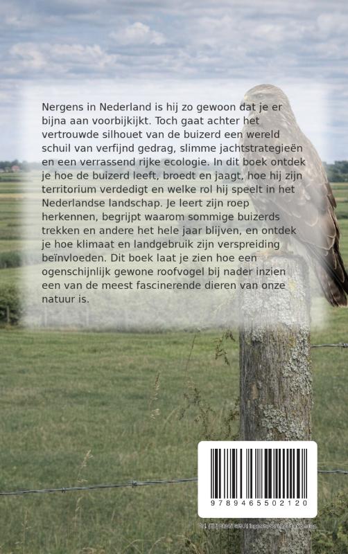Achterkant van Alles over de Buizerd