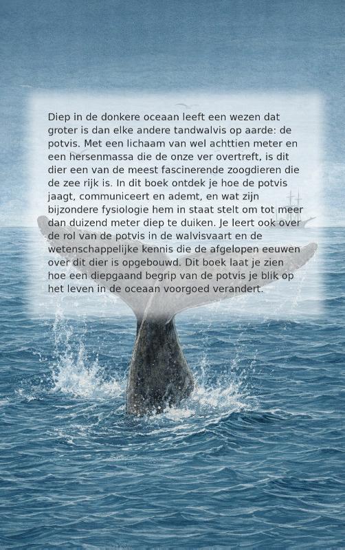 Achterkant van Alles over de Potvis