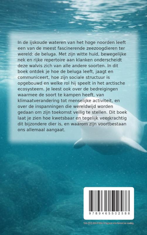 Achterkant van Alles over de Beluga