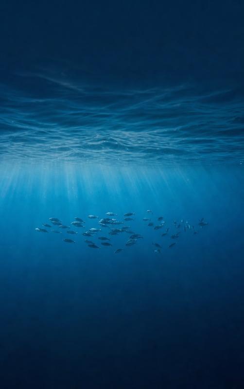 Achterkant van Alles over de Oceanen