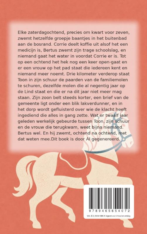 Achterkant van Draaimolen