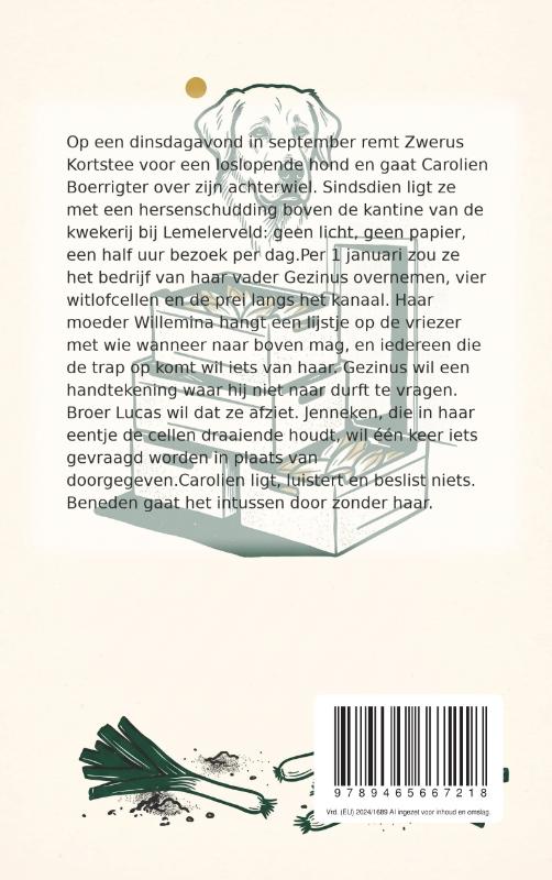 Achterkant van Zo ging het precies
