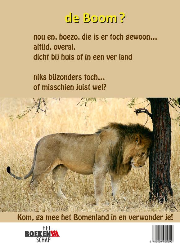 Achterkant van Boom de kampioen