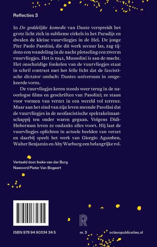 Achterkant van Het voortleven van de vuurvliegjes