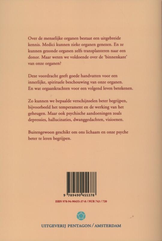 Achterkant van De organen innerlijk gezien