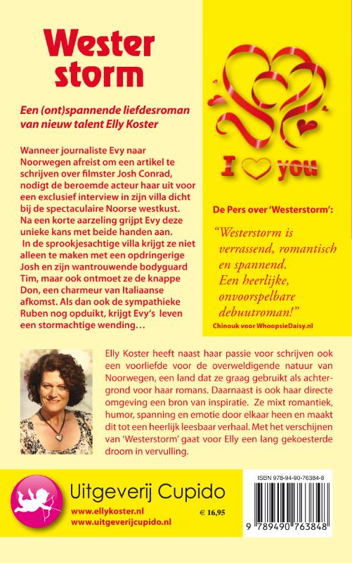 Achterkant van Westerstorm