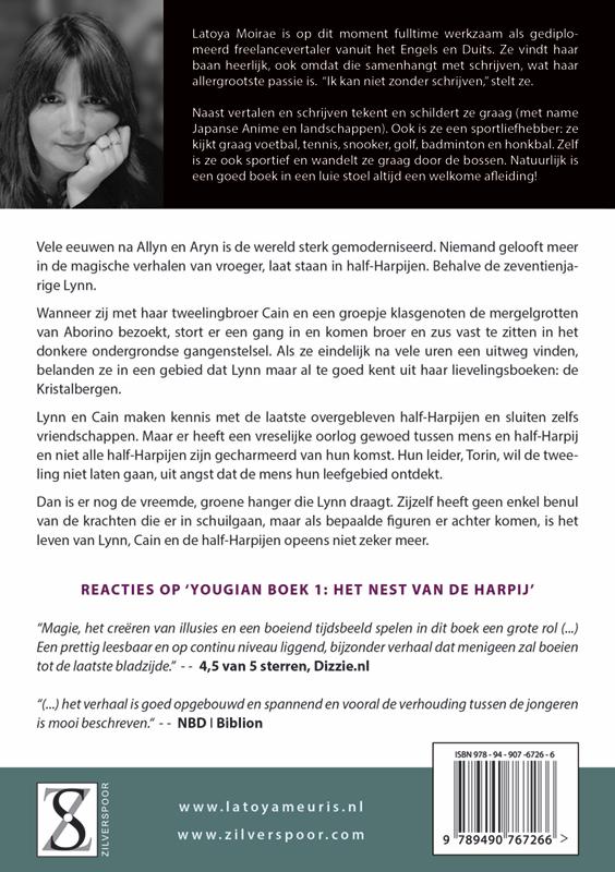 Achterkant van Het vergeten rijk