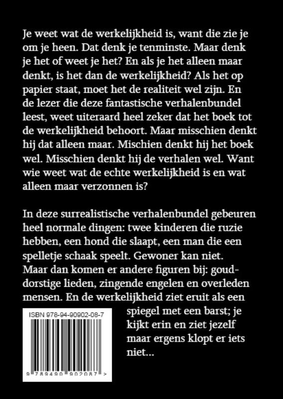 Achterkant van Dicht bij de werkelijkheid (grootletterboek)