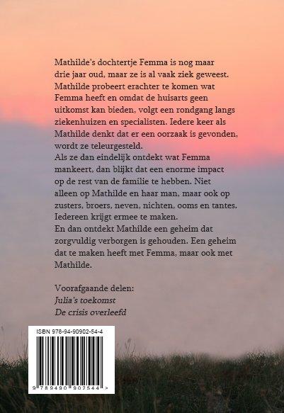 Achterkant van Het familiegeheim