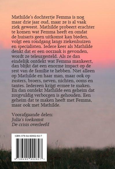 Achterkant van Het familiegeheim