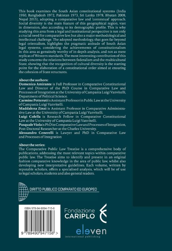 Achterkant van South Asian Constitutional Systems