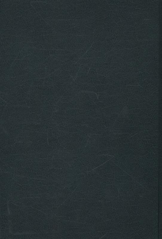 Achterkant van The Tunkin diary and lectures