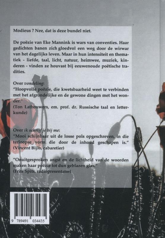 Achterkant van Vondeling