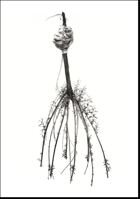 Achterkant van Sjoerd Buisman - in de tuin van de kunst/in the Garden of Art