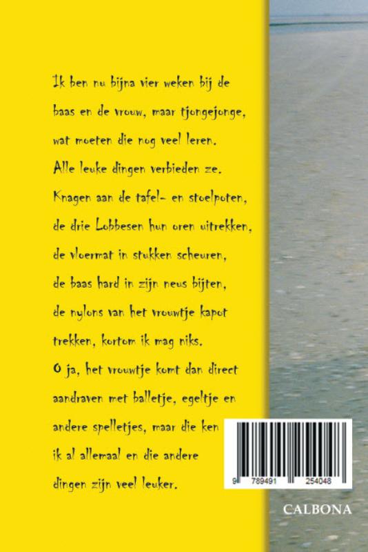 Achterkant van Lotje